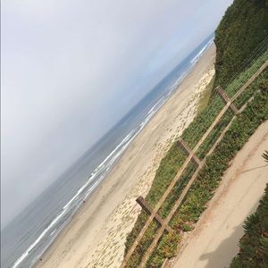 Meet your Posher, Lilly